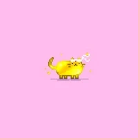 tiny tubby cats