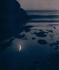 Tide Pools by Matt Kane