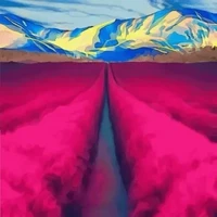 Lucid Fields By Saito