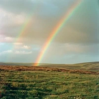 Rodeo posts