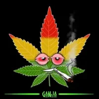 GANJA Onchain