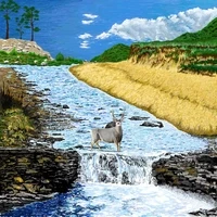The Bear and The River