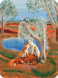 Murrup Wirringan by 🅡🅤🅓🅘 x Reddit Collectible Avatars