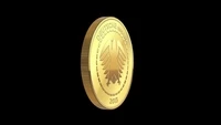 CommunityCoins NFT Gallery