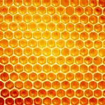 HONEY JAR GEN 4