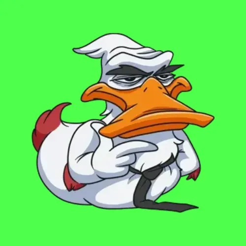 Fighter Duck #125