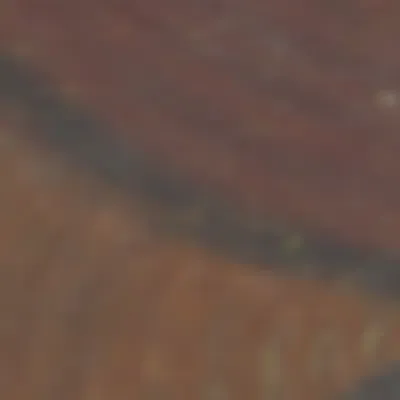 TokenID 2807 #2807