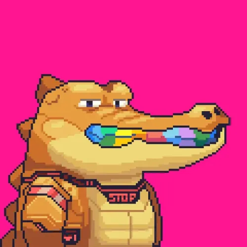 Croc #1543