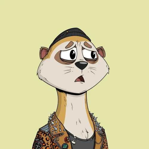 Worried Meerkat #36