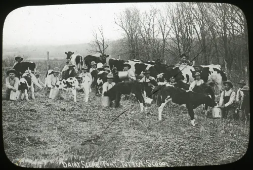 Indians with Herd of Cows #318