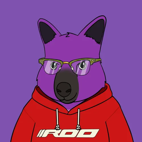 Roo #3277