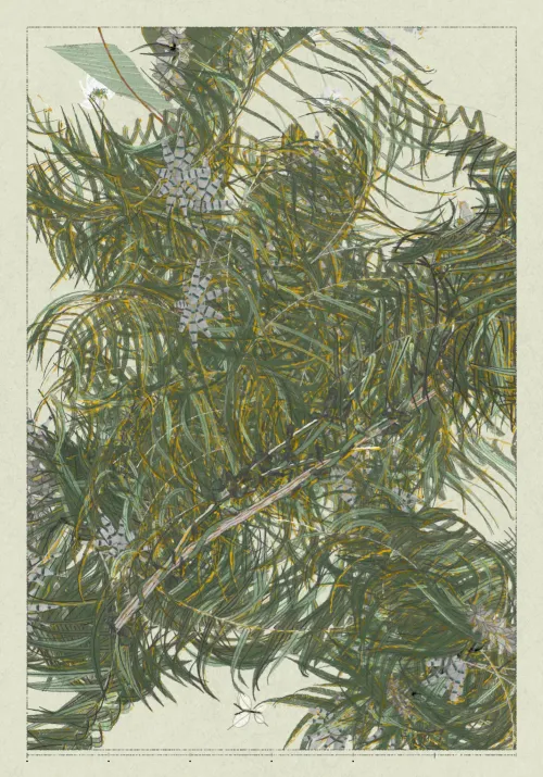 Polypaths | 植徑集 #250