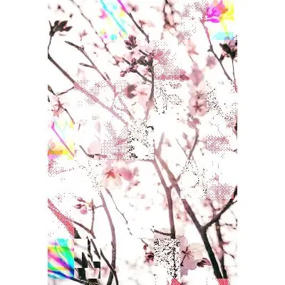Blooming #64 (#91971348)