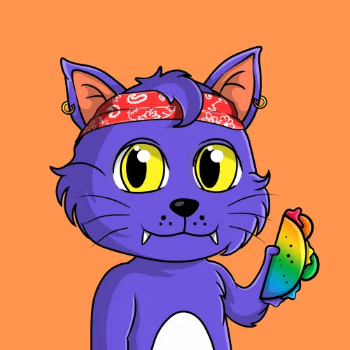 Taco Gato #1178
