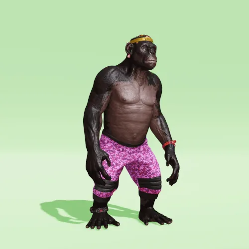 BR1 Character #993