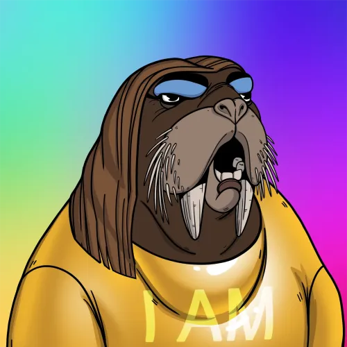 We Are The Walrus #2529
