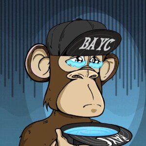 Monkey Crazed #5
