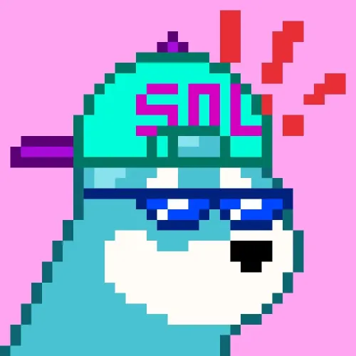 BONK on SOL #9563