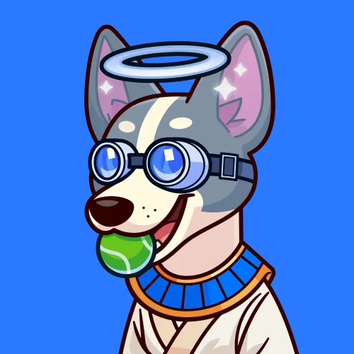 Basenji #2549