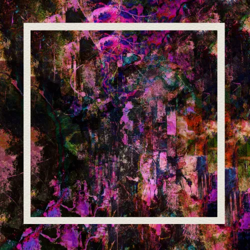 Lavender Nights #8