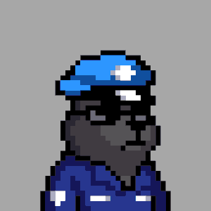 Police #211