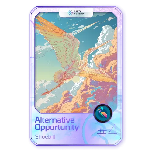 Alternative Opportunity #4