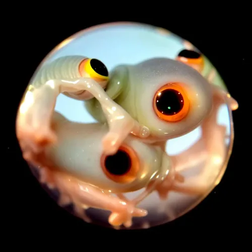 Orbiculus Nativus #658