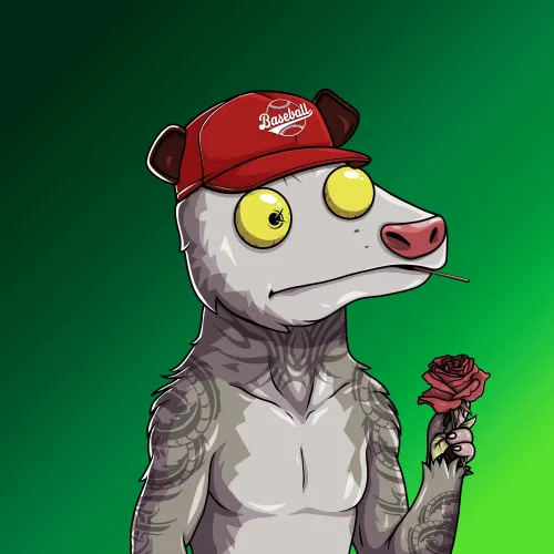 WTF Opossum #151