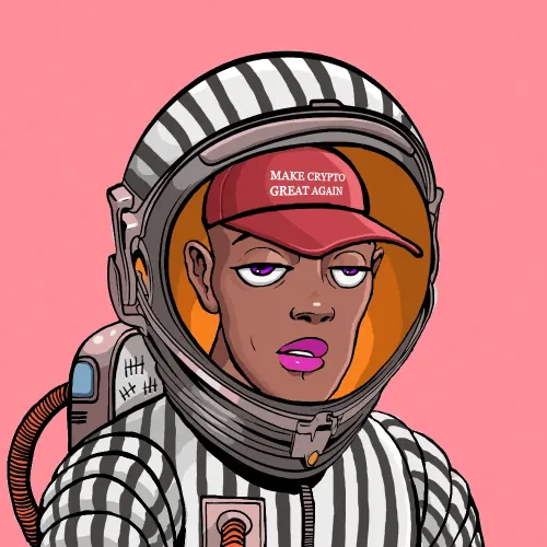 SpacePunk ＃8600