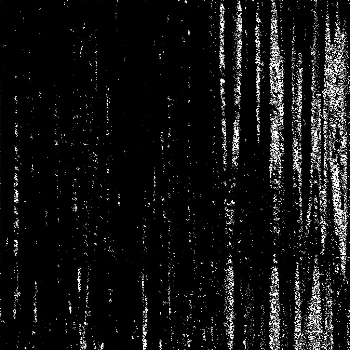 Noise #320