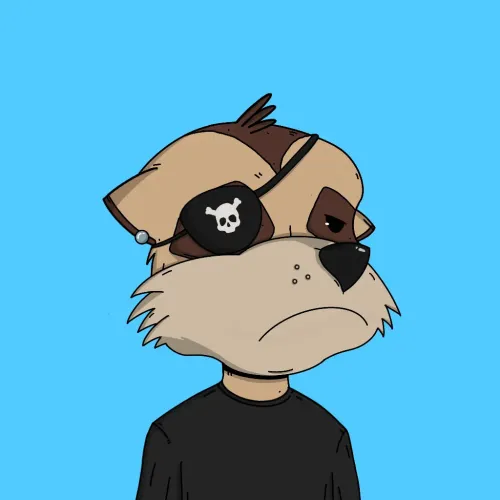 Meerkat #9931