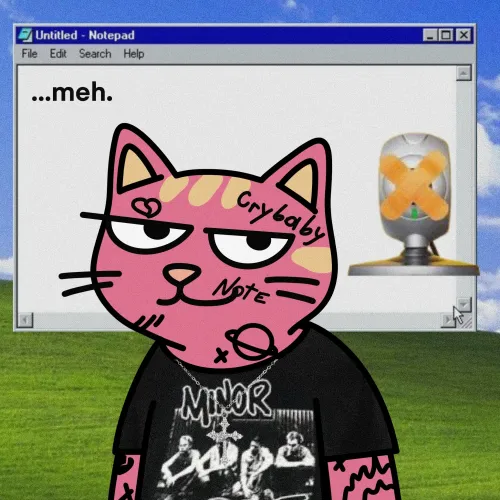 MS CATS #106