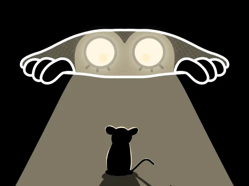Peek a Friend