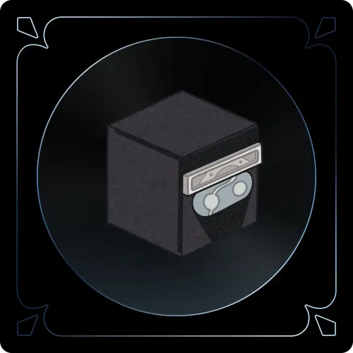 Ninja Box #19