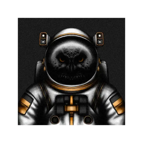 OWL #39 (#97584081)