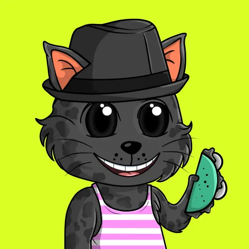 Taco Gato #5258