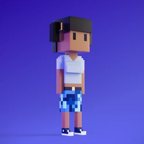 Meebit #3691