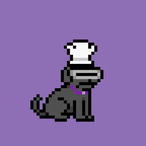 PUPZ #419