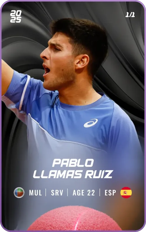 Pablo Llamas Ruiz - Platinum - Service #177268