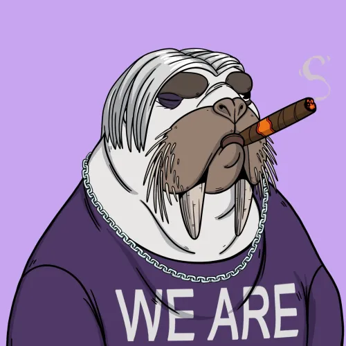 We Are The Walrus #2940