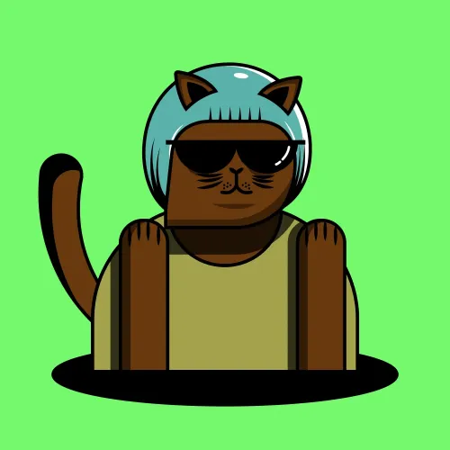 ReadyPlayerCat #1976