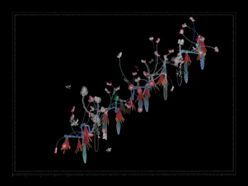 Polypaths | 植徑集 #157