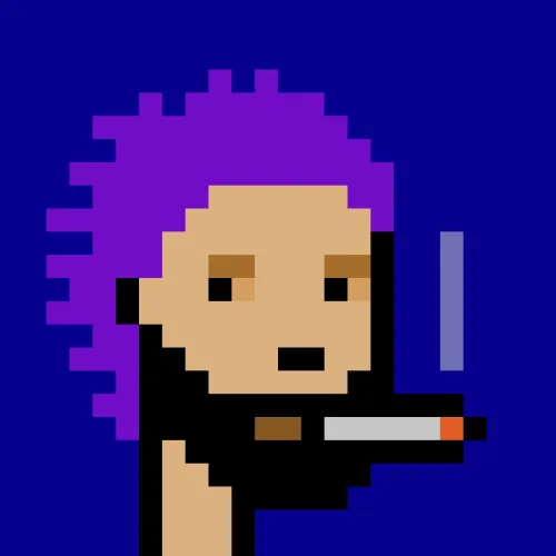 BRC 2.0 PUNK #9069 (#100763307)