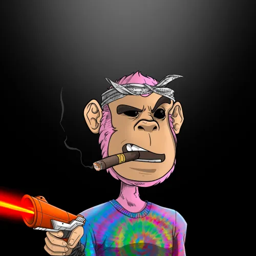 Time Traveling Chimp #2551