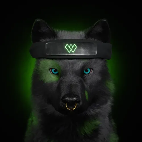 Wolf #1581
