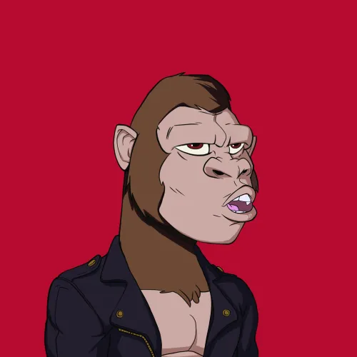 Kong #6237