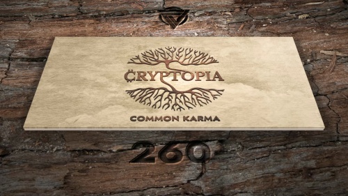 Cryptopia KARMA NFTs #260