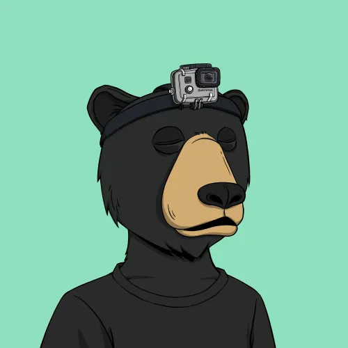 Okay Bear #3863