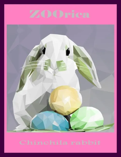 CHINCHILA RABBIT #1477