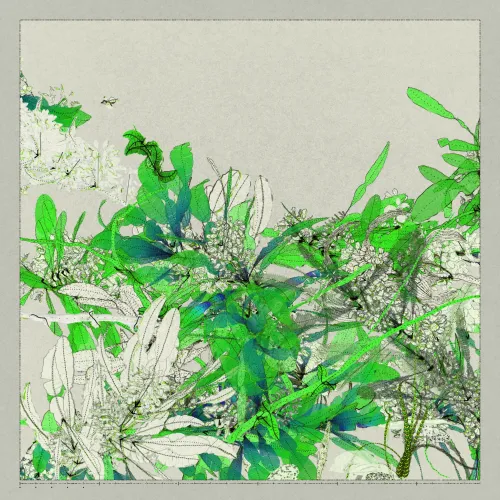 Polypaths | 植徑集 #173